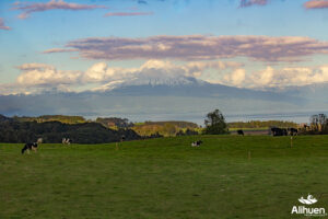 parcelas en frutillar parcelas en venta sur de chile parcelas en venta en frutillar venta de parcelas en frutillar parcelas lago llanquihue. parcelas en el sur de chile