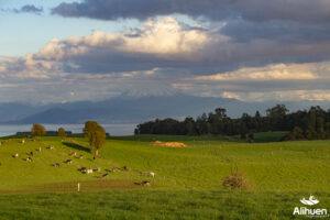 parcelas en frutillar parcelas en venta sur de chile parcelas en venta en frutillar venta de parcelas en frutillar parcelas lago llanquihue. parcelas en el sur de chile