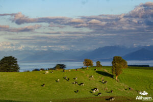 parcelas en frutillar parcelas en venta sur de chile parcelas en venta en frutillar venta de parcelas en frutillar parcelas lago llanquihue. parcelas en el sur de chile