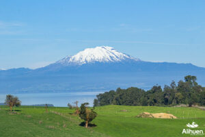 parcelas en frutillar. parcelas en el sur de chile. terrenos en frutillar. venta de parcelas en frutillar. terrenos en venta frutillar. parcelas en venta en frutillar