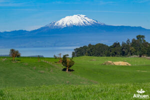 parcelas en frutillar. parcelas en el sur de chile. terrenos en frutillar. venta de parcelas en frutillar. terrenos en venta frutillar. parcelas en venta en frutillar