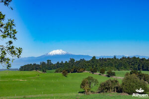 parcelas en frutillar. parcelas en el sur de chile. terrenos en frutillar. venta de parcelas en frutillar. terrenos en venta frutillar. parcelas en venta en frutillar