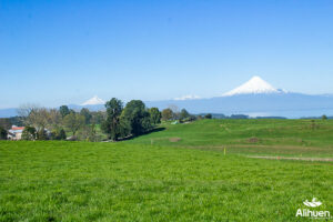 parcelas en frutillar. parcelas en el sur de chile. terrenos en frutillar. venta de parcelas en frutillar. terrenos en venta frutillar. parcelas en venta en frutillar