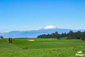 parcelas en frutillar. parcelas en el sur de chile. terrenos en frutillar. venta de parcelas en frutillar. terrenos en venta frutillar. parcelas en venta en frutillar