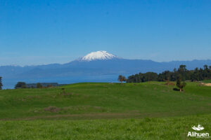 parcelas en frutillar. parcelas en el sur de chile. terrenos en frutillar. venta de parcelas en frutillar. terrenos en venta frutillar. parcelas en venta en frutillar