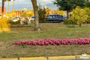 Parcelas cerca de Puerto Montt. Altos del Valle