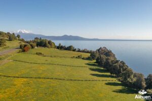 parcela orilla lago llanquihue, parcela en venta orilla lago llanquihue, parcela en venta lago llanquihue Puerto Octay.