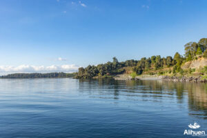 parcela orilla lago llanquihue, parcela en venta orilla lago llanquihue, parcela en venta lago llanquihue Puerto Octay.