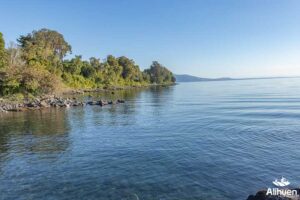 parcela orilla lago llanquihue, parcela en venta orilla lago llanquihue, parcela en venta lago llanquihue Puerto Octay.