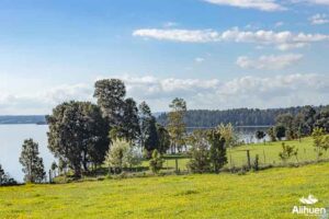 parcela orilla lago llanquihue, parcela en venta orilla lago llanquihue, parcela en venta lago llanquihue Puerto Octay.