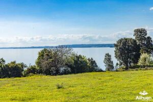 parcela orilla lago llanquihue, parcela en venta orilla lago llanquihue, parcela en venta lago llanquihue Puerto Octay.