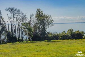 parcela orilla lago llanquihue, parcela en venta orilla lago llanquihue, parcela en venta lago llanquihue Puerto Octay.